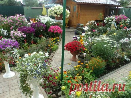 Оформление цветника. Фото | Уют и тепло моего дома