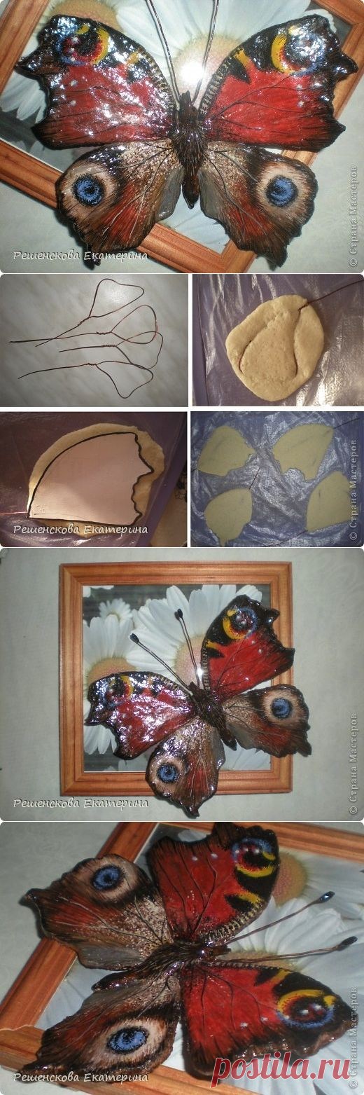 Бабочка из сол.теста.МК.