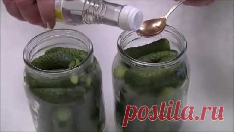Вкуснее огурцов не найти