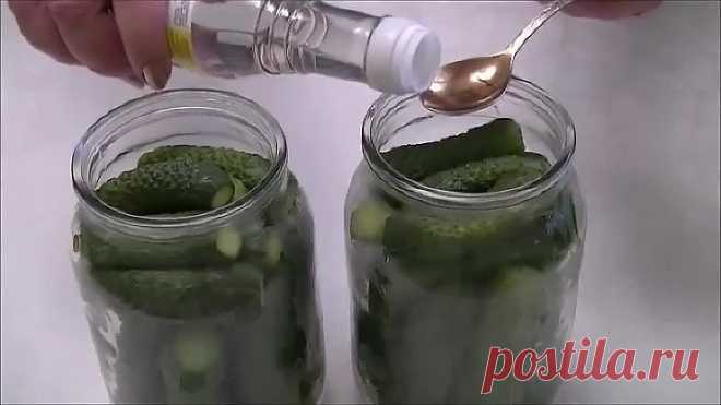Вкуснее огурцов не найти