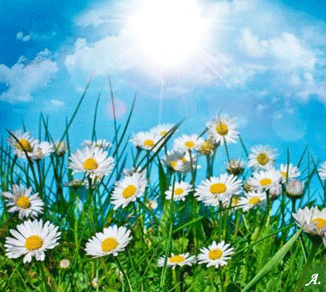 Мой Мир@Mail.Ru