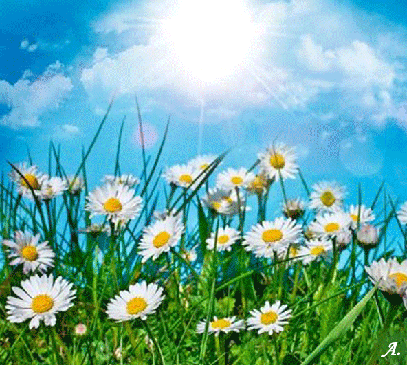 Мой Мир@Mail.Ru