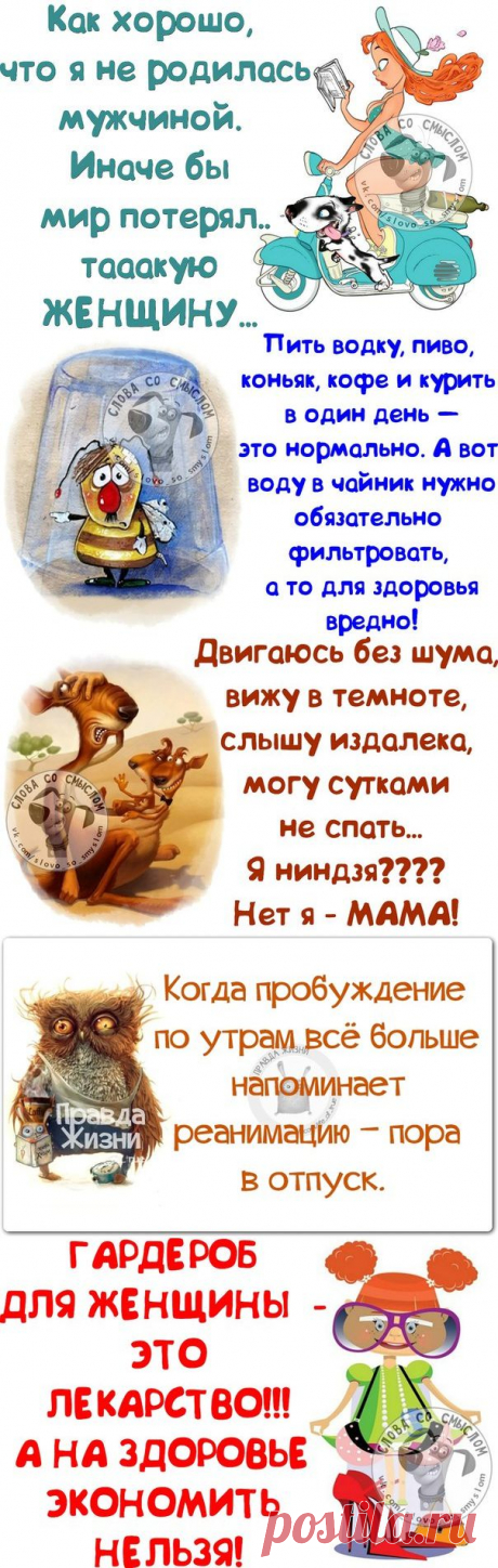 ПОЗИТИВНЫЕ ФРАЗОЧКИ В КАРТИНКАХ | Сайт Союза Юмористов
