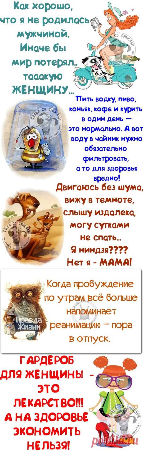 ПОЗИТИВНЫЕ ФРАЗОЧКИ В КАРТИНКАХ | Сайт Союза Юмористов