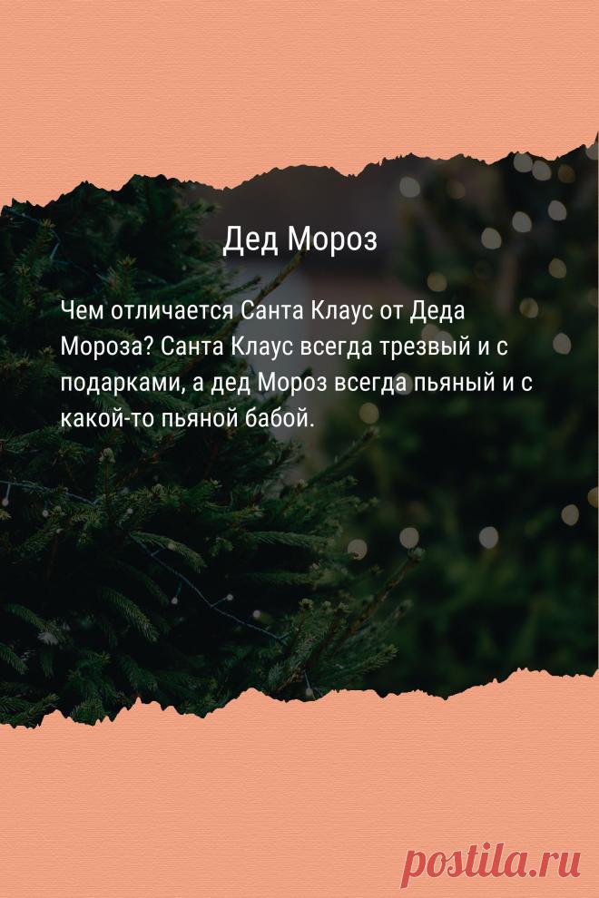 Цитата про «Деда Мороза» — Чем отличается Санта Клаус от Деда Мороза? Санта…