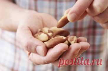 Названы продукты питания с повышенной радиацией и ртутью. Опасная еда По словам эксперта, радиоактивность бразильских орехов в тысячу раз выше, чем у других продуктов.