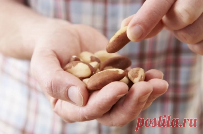 Названы продукты питания с повышенной радиацией и ртутью. Опасная еда По словам эксперта, радиоактивность бразильских орехов в тысячу раз выше, чем у других продуктов.