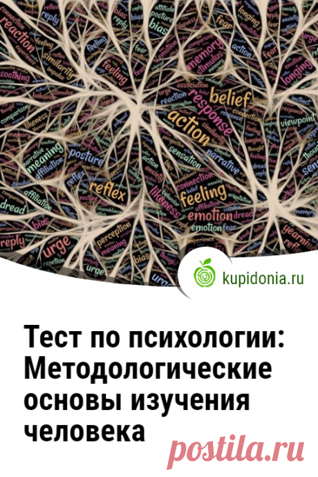Тест по психологии: Методологические основы изучения человека. Проверочный тест по курсу психологии. Пройдите тест на сайте и проверьте свои знания!