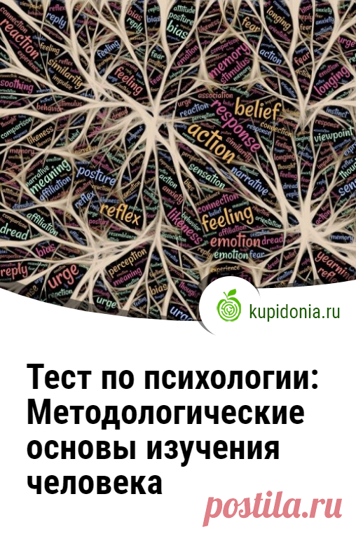 Тест по психологии: Методологические основы изучения человека. Проверочный тест по курсу психологии. Пройдите тест на сайте и проверьте свои знания!
