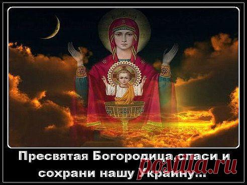 (74) Одноклассники