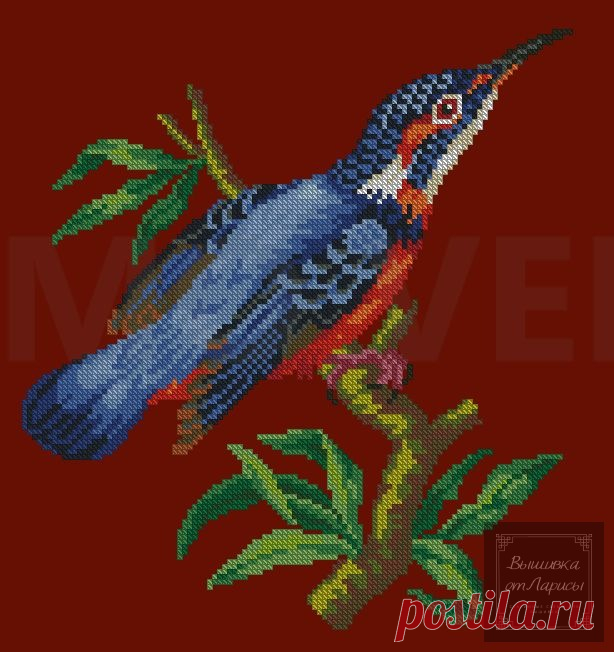 (6) Gallery.ru / Фото #1 - Зимородок - larisa-bnw