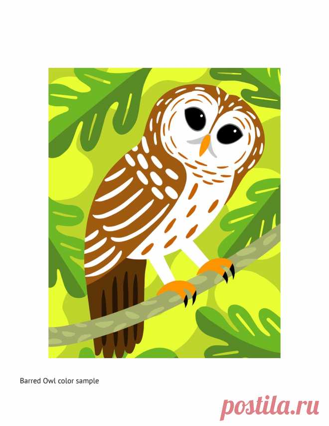 DOWNLOAD ONLY PDF/ Barred Owl picture/ Punch Needle | Etsy
