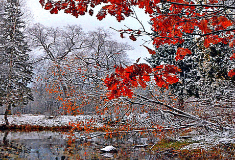 КРАСАВИЦА ЗИМА