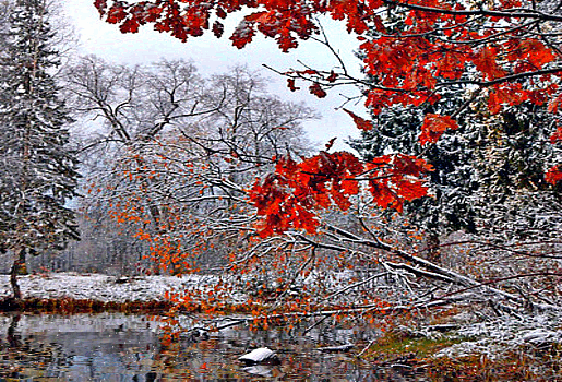 КРАСАВИЦА ЗИМА