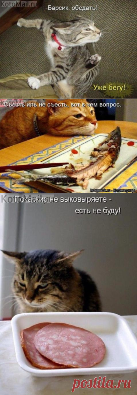 Уже бегу | KotoMail.ru
