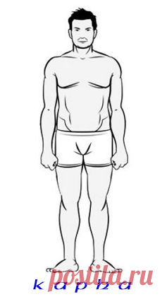 Капха-доша в Аюрведе - описание типа конституции тела