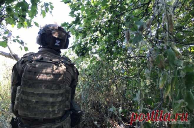Морпех Ершов рассказал о рисках при спасении товарища во время обстрела ВСУ. Боец с позывным Урал получил тяжелые ранения, прикрыв собой сослуживца.