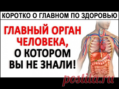 Хотите жить дольше? Тогда знайте ЭТО! Главная пища для нас с Вами и для НИХ!