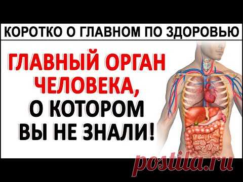 Хотите жить дольше? Тогда знайте ЭТО! Главная пища для нас с Вами и для НИХ!