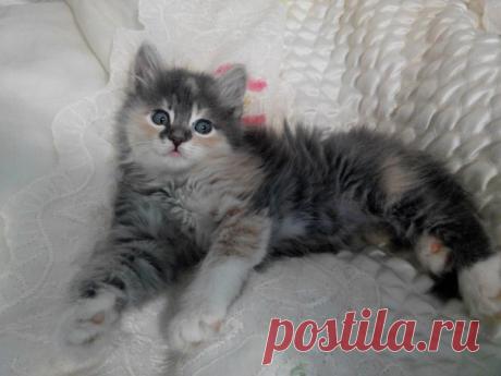 Моя Симочка.