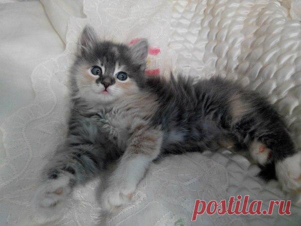 Моя Симочка.