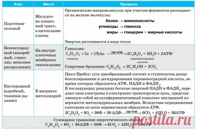 pftU6QcdJxM.jpg (1105×738)