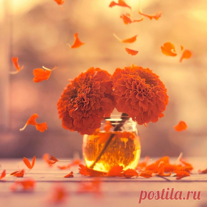 Фотографии АШРАФУЛА АРЕФИНА (ASHRAFUL AREFIN)