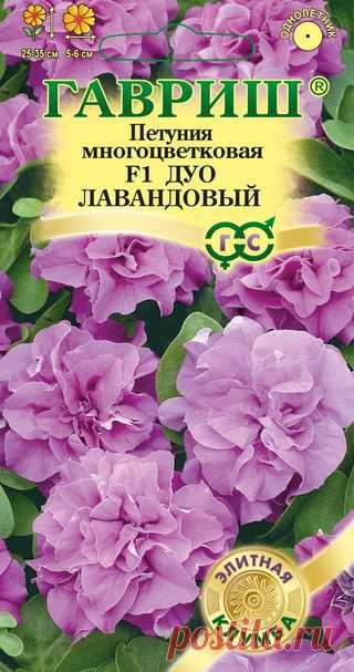 Петуния махровая "Дуо лавандовый F1"