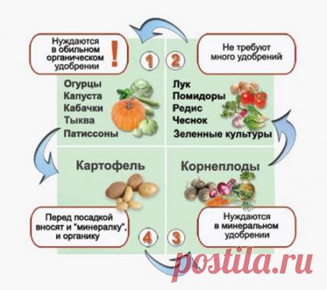 Как спланировать огород? Какие правила нужно соблюдать?