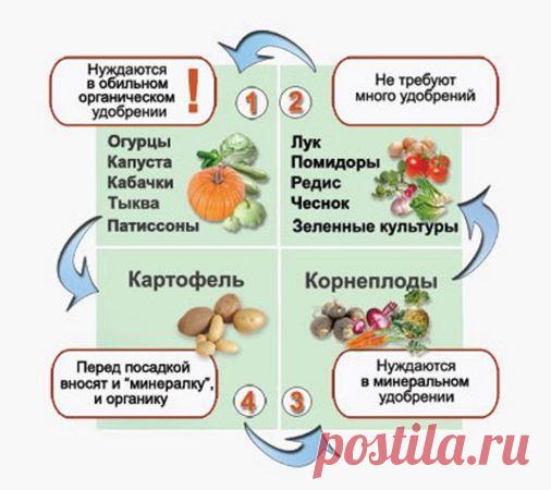Как спланировать огород? Какие правила нужно соблюдать?
