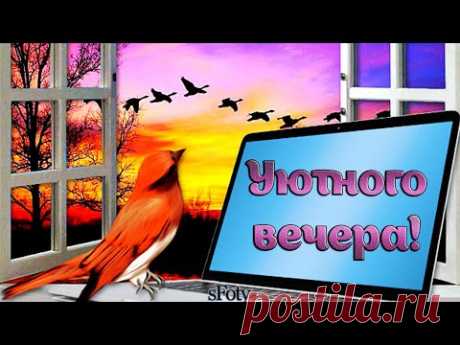 Желаю уютного, позитивного вечера! Музыка для души Сергея Чекалина - YouTube