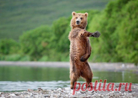✌ Немецкий молодежный сленг ✌ / Изучение немецкого языка