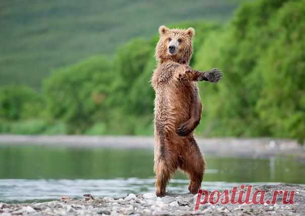 ✌ Немецкий молодежный сленг ✌ / Изучение немецкого языка