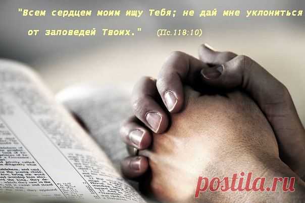 Поступаем ли мы так?