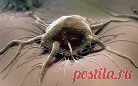 РАК, ЛЮБОВЬ И ОСНОВНЫЕ ПРИЧИНЫ БОЛЕЗНЕЙ.... Любое явление в этом мире является составной частью системы более высокого порядка. Например, каждый человек является членом какой-либо семьи и рода, принадлежит к определенной нации, стране, человечеству в общем, Вселенной и, в конечном итоге, является частичкой Целого...