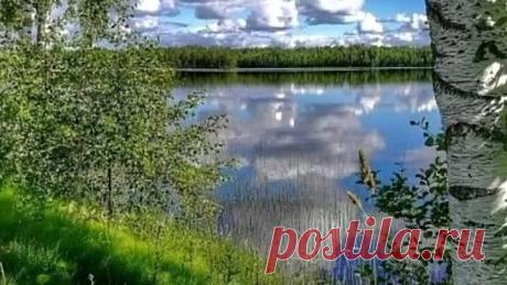 VID-20210601-WA0006.mp4