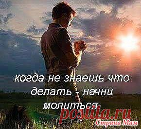 Мудрые высказывания.: Фото альбомы - Страна Мам