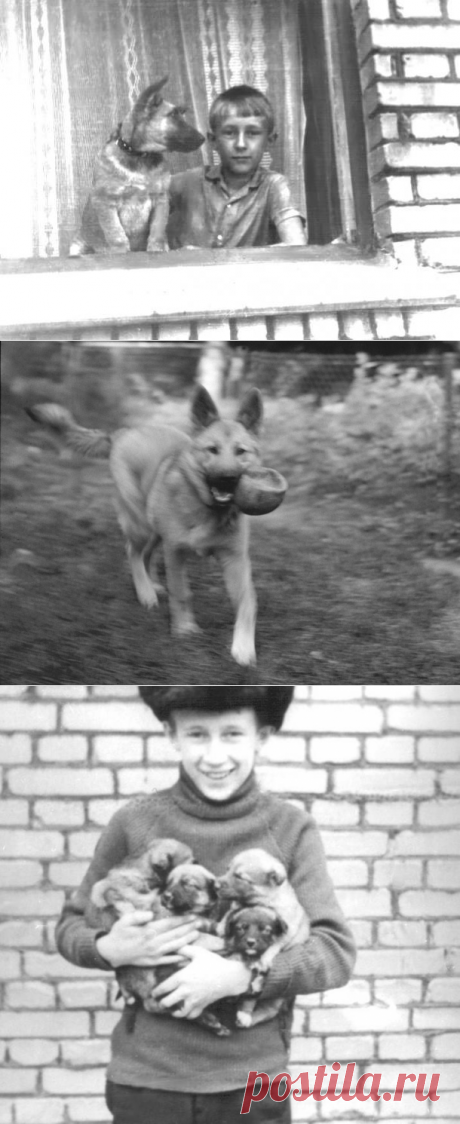 История Юры Алексеева , жителя СССР