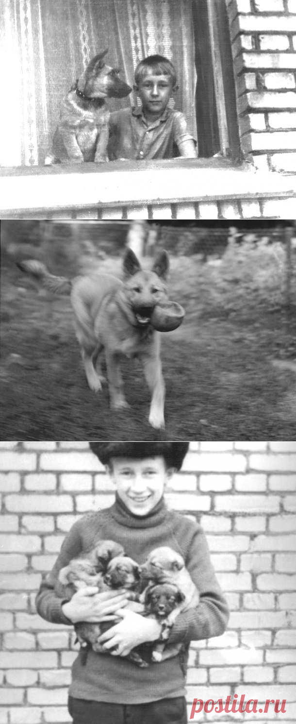 История Юры Алексеева , жителя СССР