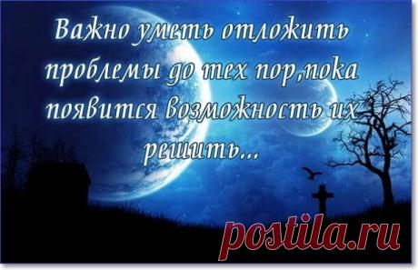 Прикольные и смешные картинки с надписями про жизнь  ( 98 фото ) . Тут забавно !!!