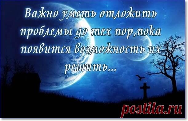 Прикольные и смешные картинки с надписями про жизнь  ( 98 фото ) . Тут забавно !!!