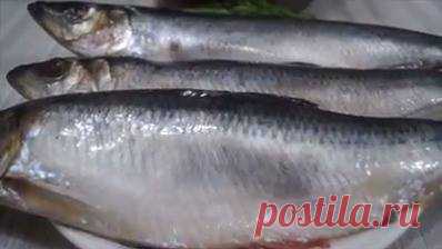 (5) Facebook