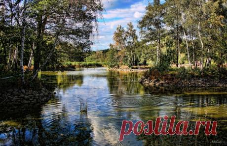 Новые фотографии природа обои.