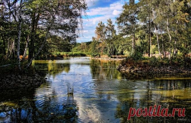 Новые фотографии природа обои.