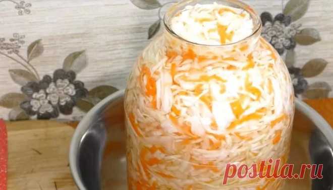 Квашеная капуста в банке - 5 способов заквасить капусту быстро и вкусно