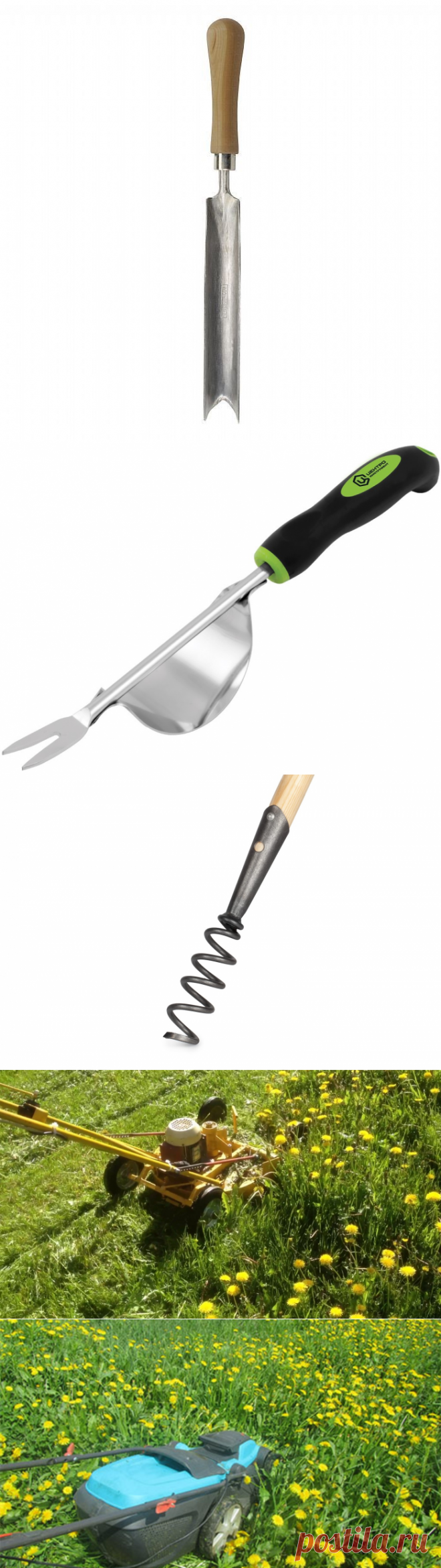 Как избавиться от одуванчиков на даче способы борьбы с сорняками