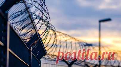Арестованного за подрыв «Севпотоков» украинца поместили в тюрьму Римини. Арестованного по подозрению в причастности к подрыву газопроводов «Северный поток» украинца поместили в тюрьму Римини. Читать далее