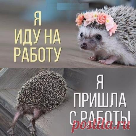 Ольга Алексеева