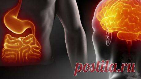 3 signos de un intestino enfermo que pueden atribuirse al envejecimiento, la fatiga y el estrés. Y 5 sencillos pasos para repararlo | Libro de recetas para jóvenes | zen