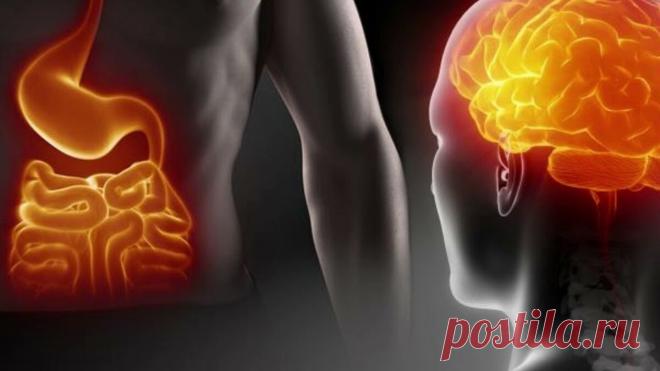 3 signos de un intestino enfermo que pueden atribuirse al envejecimiento, la fatiga y el estrés. Y 5 sencillos pasos para repararlo | Libro de recetas para jóvenes | zen